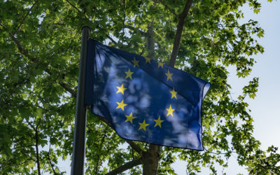 Élections européennes du 9 juin : le pacte vert menacé ?
