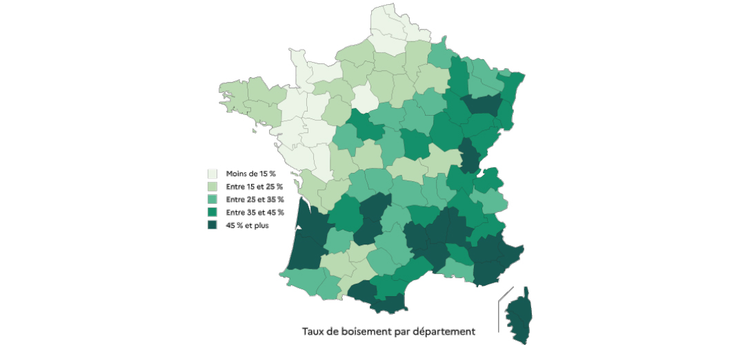 Inventaire forestier national 2023